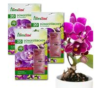 Floraline® Lot de 3 bâtonnets d'engrais pour orchidée, engrais pour orchidée pour jusqu'à 100 jours de fleurs magnifiques avec croissance et fleurs saines, utilisation douce