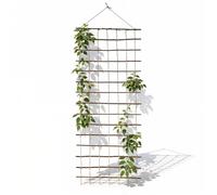Floranica Porte-Fleurs en Osier Long 150cm Largeur 50cm Support pour Plantes grimpantes Osier Naturel Ficelle et Sac de Jute Support pour Roses légumes vignes