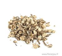 Floranjou - Angélique racine BIO - Sachet Floranjou 80 g - Nom botanique : Angelica archangelica