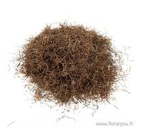 Floranjou - Maïs style dit stigmate BIO - 250 g - Nom botanique : Zea maïs