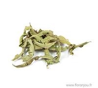 Floranjou - Verveine odorante feuille - 250 g - Nom botanique : Lippia citriodora