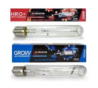 FLORASTAR Pack 2 Ampoules Horticoles 250W MH + HPS Croissance et Floraison Culot E40