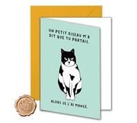 FloraVigo Carte cadeau de collègue avec enveloppe, cadeau de Noël pour la retraite, carte d'adieu amusante, cadeau humoristique pour les amis, lui, elle, carte de démission de collègue (chat)