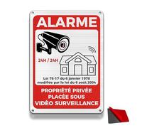 FloraVigo Panneau de Caméra de Sécurité en Aluminium - Propriété Privée avec Alarme, 22×15 cm, Intérieur/Extérieur