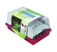 Floraworld Anzucht-Set "GUSTO ITALIA" Confort Quantité:1