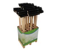Floraworld floraworld Balai universel/hiver FW ClassicDisplay Quantité:1