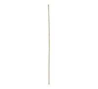 Floraworld floraworld Bâtons de Tonkin lot de 10 150 cm Quantité:1