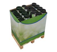 Floraworld floraworld Bordures de pelouse vertes et anthracite FW ClassicDisplay Quantité:1