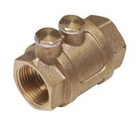 Floraworld floraworld Clapet anti-retour 1 1/4" FIP laiton avec double ventilation Quantité:1