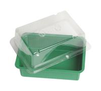 Floraworld floraworld Mini-serre 20x15 cm sans soucoupe Quantité:1