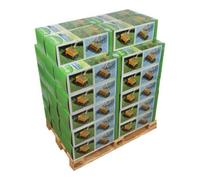 Floraworld floraworld Palette Classic pour épandeur FWDisplay Quantité:1