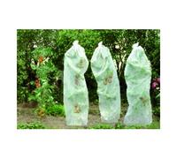 Floraworld floraworld Voile de mûrissement pour tomates 0,8x5m 17g blanc Quantité:1