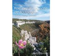 Flore rare et menacee de bourgogne - distribution, ecologie,conservation VAUCOULON PATRY (Auteur)