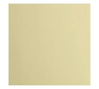 vaessen creative Florence Papier Cartonné, Beige (Pudding), 216g, Carré, 30,5 x 30,5 cm, 20 Feuilles, Surface Lisse, pour Peindre, Scrapbooking et Plus