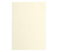 Florence Papier Cartonné Beige Rugueux - A4 - Raffia - 10 feuilles - 216 g/m² - Papier pour Scrapbooking, Carterie, Perforation et Faire Part de Mariage