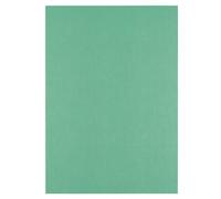 Florence Papier Cartonné en Lin Vert 250 g - Papier Scrapbooking A4 - Holly - Papier Cartonné Couleur - Invitations Élégantes, Boîtes-Cadeaux et Projets Artistiques