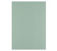 Florence Papier Cartonné en Lin Vert 250 g - Papier Scrapbooking A4 - Iguana - Papier Cartonné Couleur - Invitations Élégantes, Boîtes-Cadeaux et Projets Artistiques