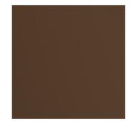 vaessen creative Florence Papier Cartonné, Brun (Noisette), 216g, Carré, 30,5 x 30,5 cm, 20 Feuilles, Surface Texturée, pour Peindre, Scrapbooking et plus, 30,5x30,5cm