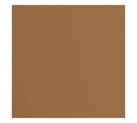 vaessen creative Florence Papier Cartonné, Brun (Lionne), 216g, Carré, 30,5 x 30,5 cm, 20 Feuilles, Surface Texturée, pour Peindre, Scrapbooking et plus, 30,5x30,5cm