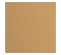 vaessen creative Florence Papier Cartonné, Brun (Cacahouète), 216g, Carré, 30,5 x 30,5 cm, 20 Feuilles, Surface Texturée, pour Peindre, Scrapbooking et Plus, Braun, 30,5x30,5cm