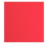 vaessen creative Florence Papier Cartonné, Rouge (Bisou), 216g, Carré, 30,5 x 30,5 cm, 20 Feuilles, Surface Texturée, pour Peindre, Scrapbooking et Plus, Rot, 30,5x30,5cm