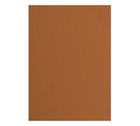 vaessen creative Florence Papier Cartonné, Brun (Brique) 216g, 10 Feuilles, Surface Texturée, pour Peindre, Scrapbooking et Plus, Marron, DIN A4