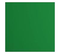 Florence Papier Cartonné Vert Lisse - 30,5 x 30,5 cm - Broccoli - 20 feuilles - 216 g/m² - Papier pour Scrapbooking, Carterie, Perforation et Faire Part de Mariage