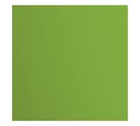vaessen creative Florence Papier Cartonné, Vert (Grenouille), 216g, Carré, 30,5 x 30,5 cm, 20 Feuilles, Surface Lisse, pour Peindre, Scrapbooking et Plus