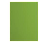 vaessen creative Florence Papier Cartonné, Vert (Grenouille), 216g, 10 Feuilles, Surface Lisse, pour Peindre, Scrapbooking et plus, DIN A4