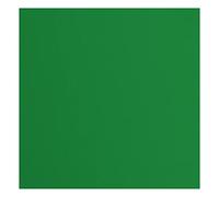 Florence Papier Cartonné Vert Rugueux - 30,5 x 30,5 cm - Broccoli - 20 feuilles - 216 g/m² - Papier pour Scrapbooking, Carterie, Perforation et Faire Part de Mariage