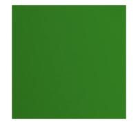 vaessen creative Florence Papier Cartonné, Vert (Sauterelle), 216g, Carré, 30,5 x 30,5 cm, 20 Feuilles, Surface Texturée, pour Peindre, Scrapbooking et plus, 30,5x30,5cm