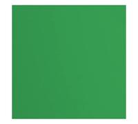 vaessen creative Florence Papier Cartonné, Vert (Holly), 216g, Carré, 30,5 x 30,5 cm, 20 Feuilles, Surface Texturée, pour Peindre, Scrapbooking et plus, 30,5x30,5cm