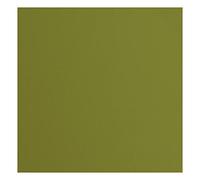 vaessen creative Florence Papier Cartonné, Vert (Olive), 216g, Carré, 30,5 x 30,5 cm, 20 Feuilles, Surface Texturée, pour Peindre, Scrapbooking et plus, 30,5x30,5cm