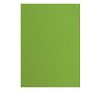 Florence Papier Cartonné Vert Rugueux - A4 - Frog - 10 feuilles - 216 g/m² - Papier pour Scrapbooking, Carterie, Perforation et Faire Part de Mariage