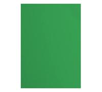 Florence Papier Cartonné Vert Rugueux - A4 - Holly - 10 feuilles - 216 g/m² - Papier pour Scrapbooking, Carterie, Perforation et Faire Part de Mariage