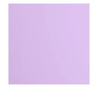 Florence Papier Cartonné Violet Lisse - 30,5 x 30,5 cm - Hyacinth - 20 feuilles - 216 g/m² - Papier pour Scrapbooking, Carterie, Perforation et Faire Part de Mariage