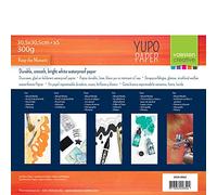 Florence Papier Synthétique 30,5 x 30,5 cm - Blanc - 5 feuilles - 216 g/m² - Papier Imperméable pour Encre à l'Alcool, Peinture, Dessin et Gaufrage