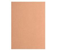 Florence Vaessen Creative Papier Cartonné, Brun, 200g, A4, 100 Feuilles, Surface Lisse, pour Peindre, Scrapbooking, Cartographie, Perforatrice et Plus, Set Pièces