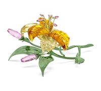 Florere Lys, grand modèle OS
