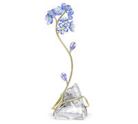 Florere Myosotis OS
