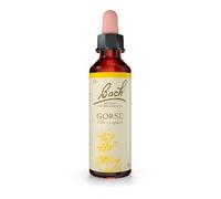 Flores Bach Original Gorse Aulaga 20Ml - Fleurs de Bach