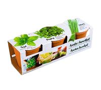 Florex Herbes aromatiques et pots en terre cuite
