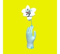 Florian Paul & die Kapelle der Letzten Hoffnung - Auf Sand Gebaut