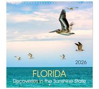 Florida - Discoveries in the Sunshine State (Wall Calendar 2026 12 × 12 Inch) CALVENDO 12 Month Wall Calendar: The enchanting south of the United States