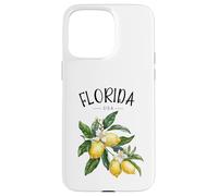 Florida Lemon Art American Lover, États-Unis, Floride Coque pour iPhone 15 Pro Max