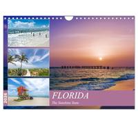 Florida L'État du soleil (calendrier mural 2026 DIN A4 paysage) Calendrier mural CALVENDO 12 mois