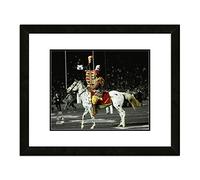 Florida State Seminoles Mascottes Chief Osceola & Renegade 2014 BCS National Championship Game Spotlight Spotlight 45,7 x 55,9 cm Photo encadrée et encadrée (format fini)