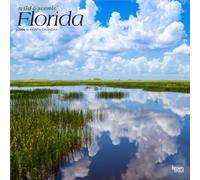 Florida Wild & Scenic | 2026 12 x 24 Inch (Hanging) Monthly Square Wall Calendar | Plastic-Free | BrownTrout | USA United States of America Southeast State Nature