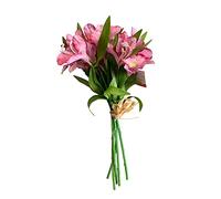 FloristryWarehouse Alstroemeria Bundle Rose 33 cm X 5 tiges