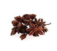 FloristryWarehouse Anis étoilé séché 5 sachets de 10 pièces 5cm